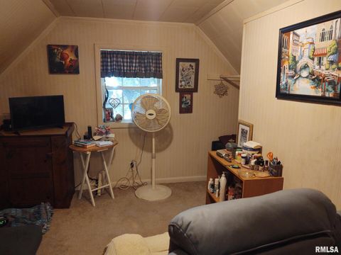 Tiny photo for 601 OHIO Street, Grand Chain, IL 62941 (MLS # EB459493)