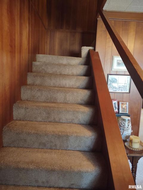 Tiny photo for 601 OHIO Street, Grand Chain, IL 62941 (MLS # EB459493)