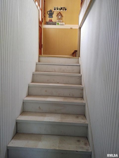 Tiny photo for 601 OHIO Street, Grand Chain, IL 62941 (MLS # EB459493)