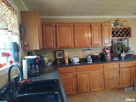 Tiny photo for 601 OHIO Street, Grand Chain, IL 62941 (MLS # EB459493)