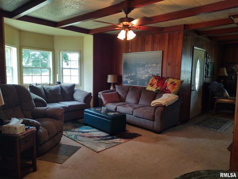 Tiny photo for 601 OHIO Street, Grand Chain, IL 62941 (MLS # EB459493)