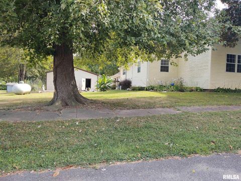 Tiny photo for 601 OHIO Street, Grand Chain, IL 62941 (MLS # EB459493)