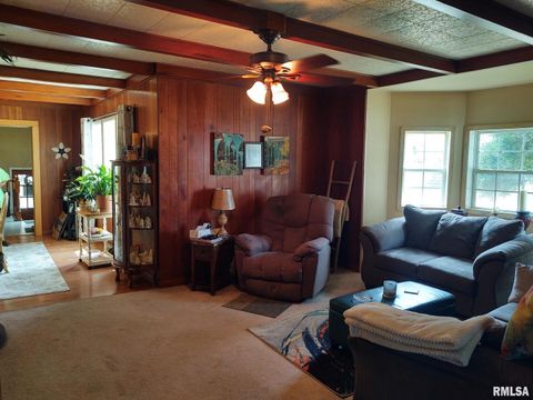 Tiny photo for 601 OHIO Street, Grand Chain, IL 62941 (MLS # EB459493)