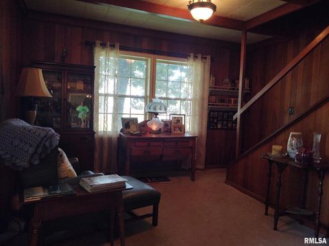 Tiny photo for 601 OHIO Street, Grand Chain, IL 62941 (MLS # EB459493)