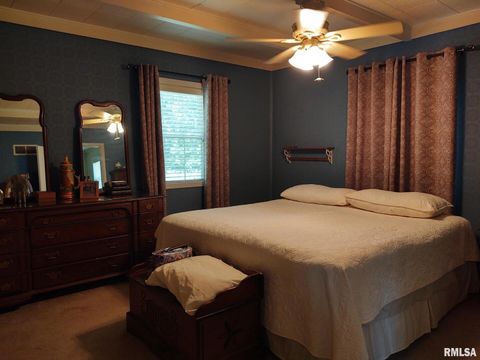 Tiny photo for 601 OHIO Street, Grand Chain, IL 62941 (MLS # EB459493)