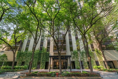 100 E Bellevue Place 4A Chicago IL 60611