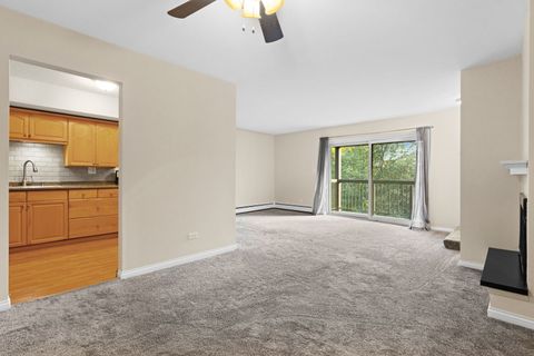 Tiny photo for 751 S DWYER Avenue #F, Arlington Heights, IL 60005 (MLS # 12470946)