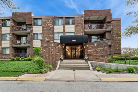 Photo of 460 Raintree Court #2N, Glen Ellyn, IL 60137 (MLS # 12521943)