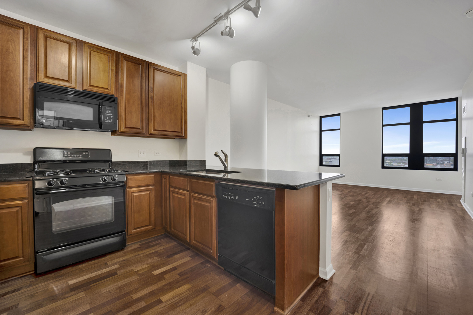 1255 S STATE Street 1704