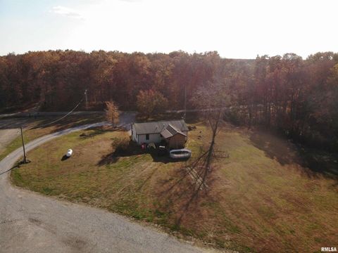 Tiny photo for 7003 RIVER Road, Iuka, IL 62849 (MLS # EB460428)