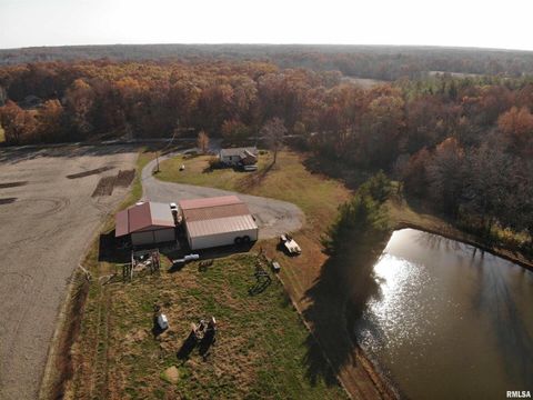 Tiny photo for 7003 RIVER Road, Iuka, IL 62849 (MLS # EB460428)