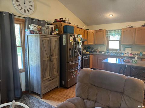 Tiny photo for 7003 RIVER Road, Iuka, IL 62849 (MLS # EB460428)