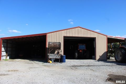 Tiny photo for 7003 RIVER Road, Iuka, IL 62849 (MLS # EB460428)