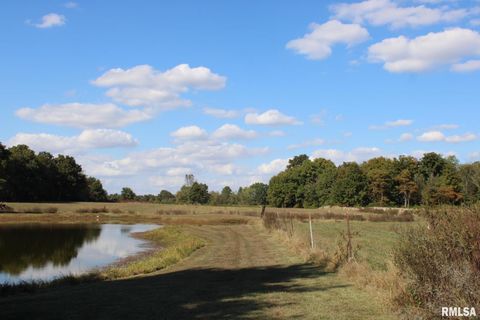 Tiny photo for 7003 RIVER Road, Iuka, IL 62849 (MLS # EB460428)