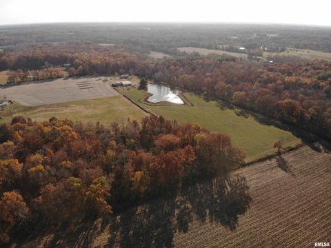 Tiny photo for 7003 RIVER Road, Iuka, IL 62849 (MLS # EB460428)