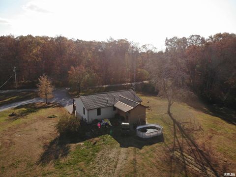 Tiny photo for 7003 RIVER Road, Iuka, IL 62849 (MLS # EB460428)