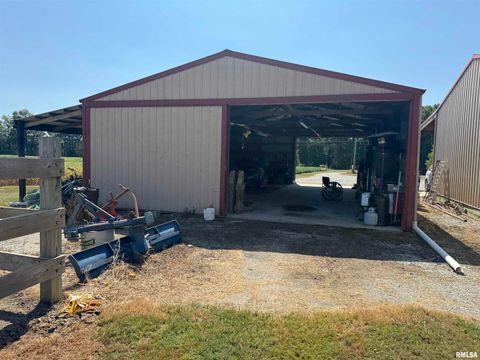 Tiny photo for 7003 RIVER Road, Iuka, IL 62849 (MLS # EB460428)