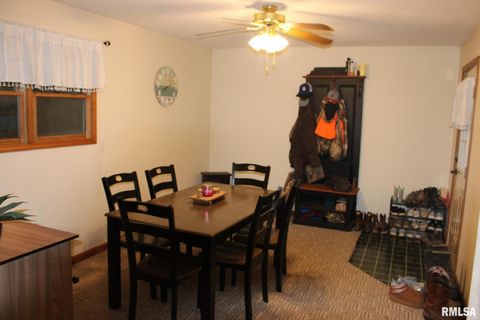 Tiny photo for 7003 RIVER Road, Iuka, IL 62849 (MLS # EB460428)