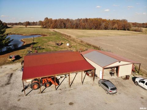 Tiny photo for 7003 RIVER Road, Iuka, IL 62849 (MLS # EB460428)