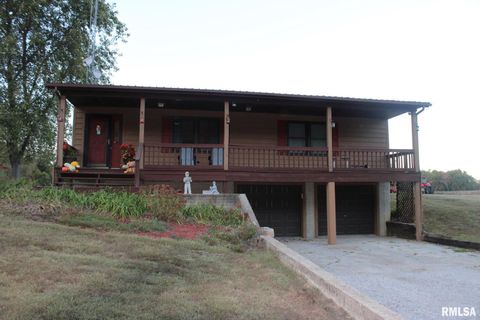 Tiny photo for 7003 RIVER Road, Iuka, IL 62849 (MLS # EB460428)