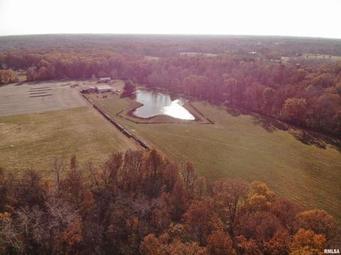 Tiny photo for 7003 RIVER Road, Iuka, IL 62849 (MLS # EB460428)