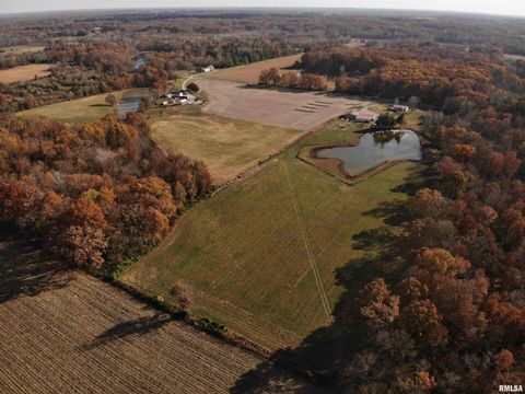 Tiny photo for 7003 RIVER Road, Iuka, IL 62849 (MLS # EB460428)