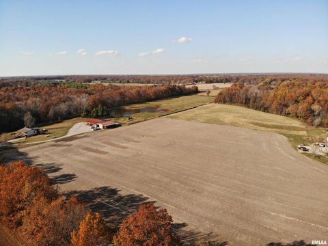 Tiny photo for 7003 RIVER Road, Iuka, IL 62849 (MLS # EB460428)