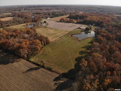 Tiny photo for 7003 RIVER Road, Iuka, IL 62849 (MLS # EB460428)