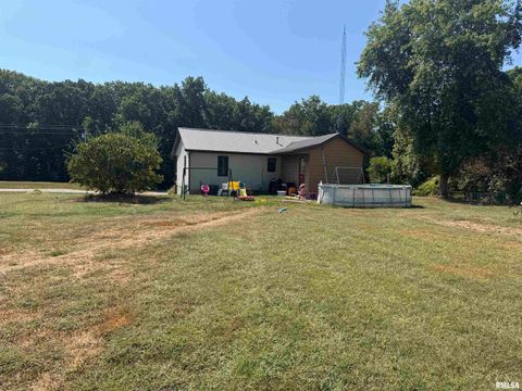 Tiny photo for 7003 RIVER Road, Iuka, IL 62849 (MLS # EB460428)