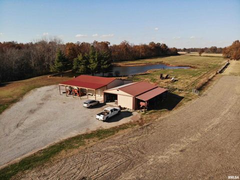 Tiny photo for 7003 RIVER Road, Iuka, IL 62849 (MLS # EB460428)