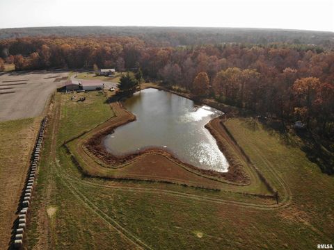 Tiny photo for 7003 RIVER Road, Iuka, IL 62849 (MLS # EB460428)