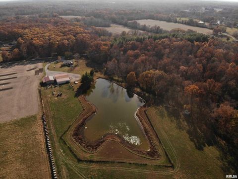 Tiny photo for 7003 RIVER Road, Iuka, IL 62849 (MLS # EB460428)
