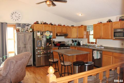 Tiny photo for 7003 RIVER Road, Iuka, IL 62849 (MLS # EB460428)