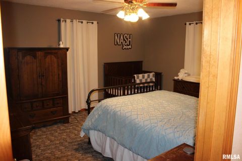 Tiny photo for 7003 RIVER Road, Iuka, IL 62849 (MLS # EB460428)