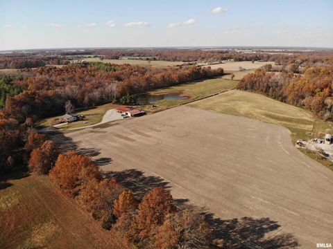 Tiny photo for 7003 RIVER Road, Iuka, IL 62849 (MLS # EB460428)