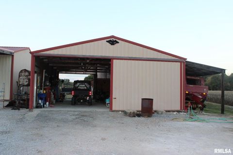 Tiny photo for 7003 RIVER Road, Iuka, IL 62849 (MLS # EB460428)