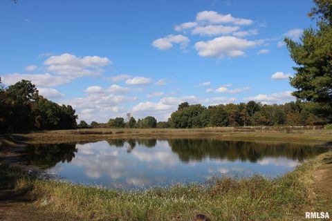 Tiny photo for 7003 RIVER Road, Iuka, IL 62849 (MLS # EB460428)