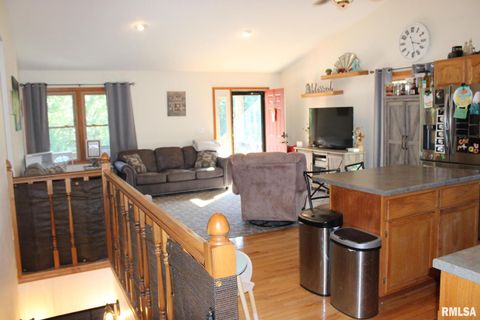 Tiny photo for 7003 RIVER Road, Iuka, IL 62849 (MLS # EB460428)