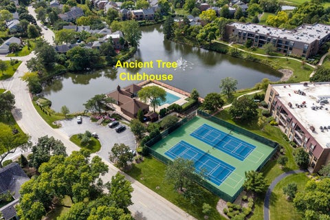 Tiny photo for 18 The Court Of Greenway Court, Northbrook, IL 60062 (MLS # 12769096)