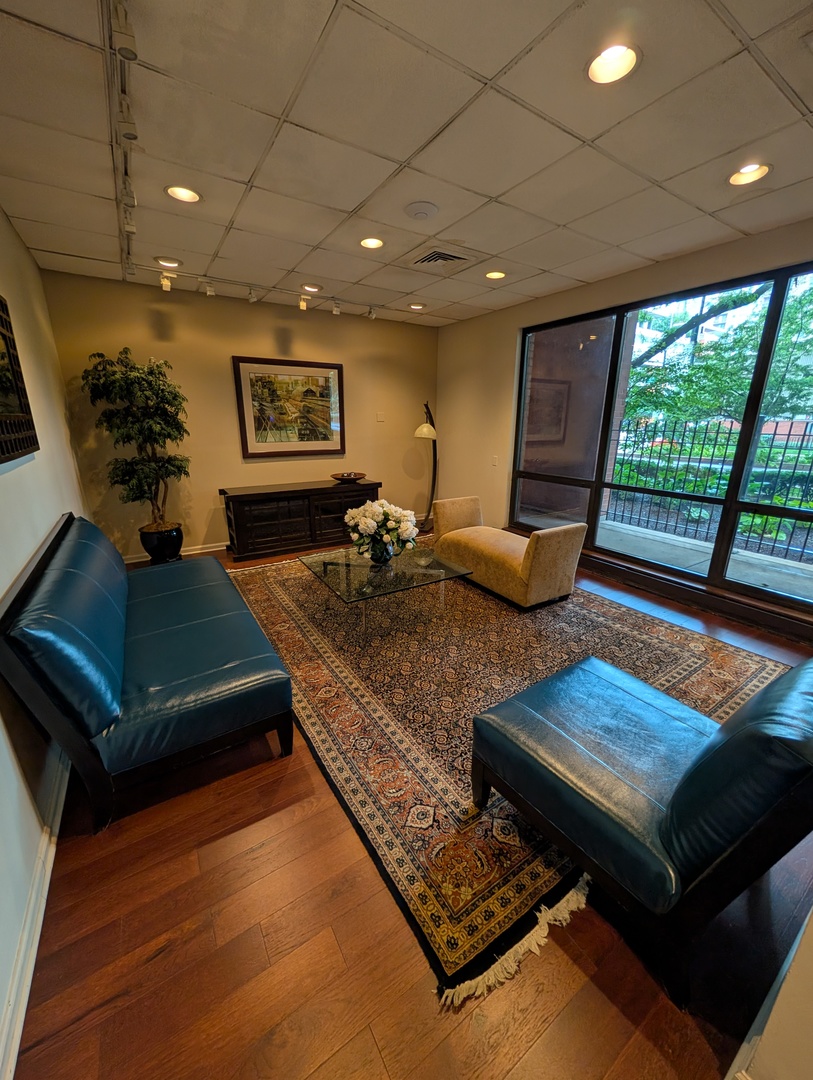899 S Plymouth Court 1703