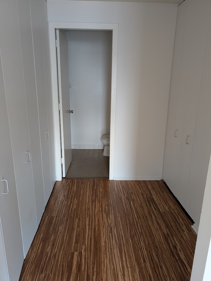 899 S Plymouth Court 1703
