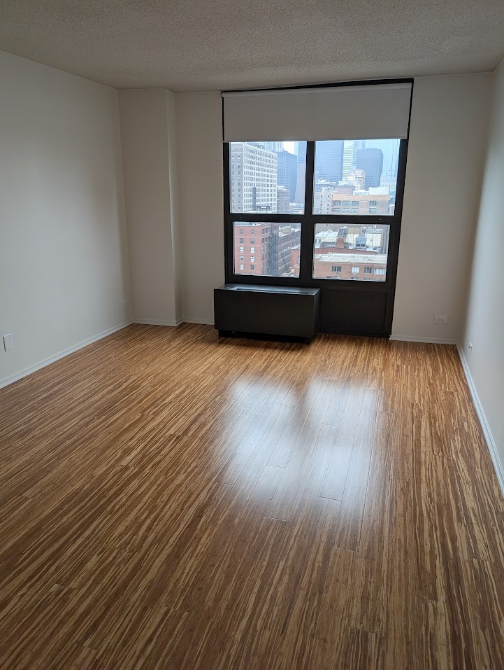 899 S Plymouth Court 1703