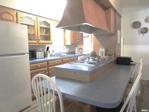 Tiny photo for 304 APRIL Avenue, Carmi, IL 62821 (MLS # EB459968)