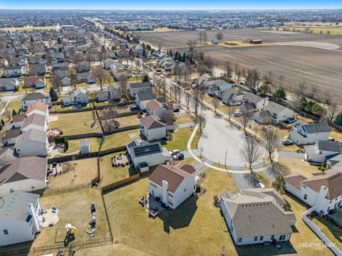 Tiny photo for 24336 W Apple Tree Lane, Plainfield, IL 60585 (MLS # 12596077)