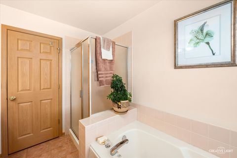 Tiny photo for 24336 W Apple Tree Lane, Plainfield, IL 60585 (MLS # 12596077)