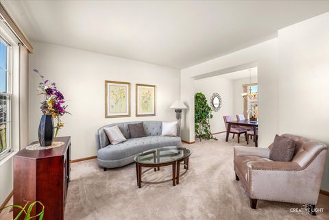 Tiny photo for 24336 W Apple Tree Lane, Plainfield, IL 60585 (MLS # 12596077)