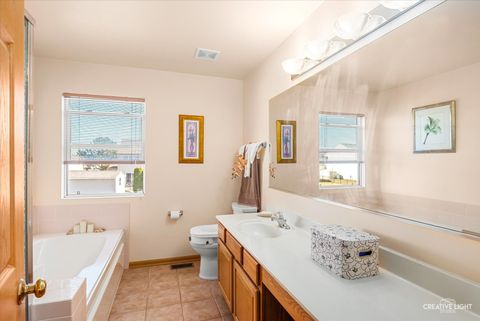 Tiny photo for 24336 W Apple Tree Lane, Plainfield, IL 60585 (MLS # 12596077)