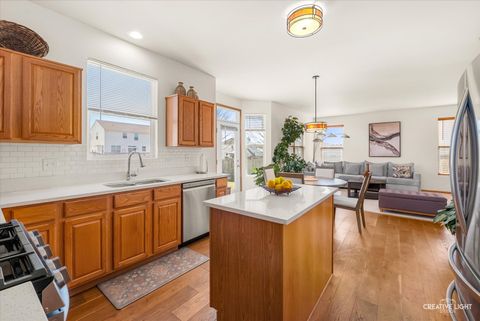 Tiny photo for 24336 W Apple Tree Lane, Plainfield, IL 60585 (MLS # 12596077)