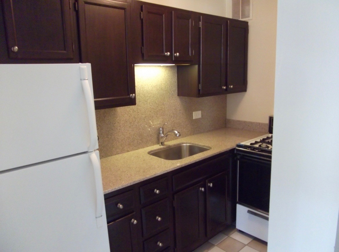 1 E Scott Street 1105