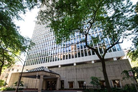 1 E Scott Street 1105 Chicago IL 60610